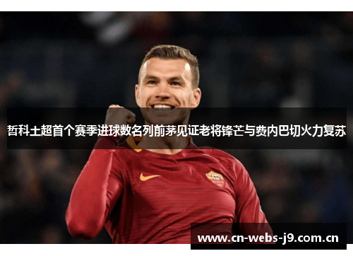 哲科土超首个赛季进球数名列前茅见证老将锋芒与费内巴切火力复苏 哲科土超首个赛季进球数名列前茅见证老将锋芒与费内巴切火力复苏